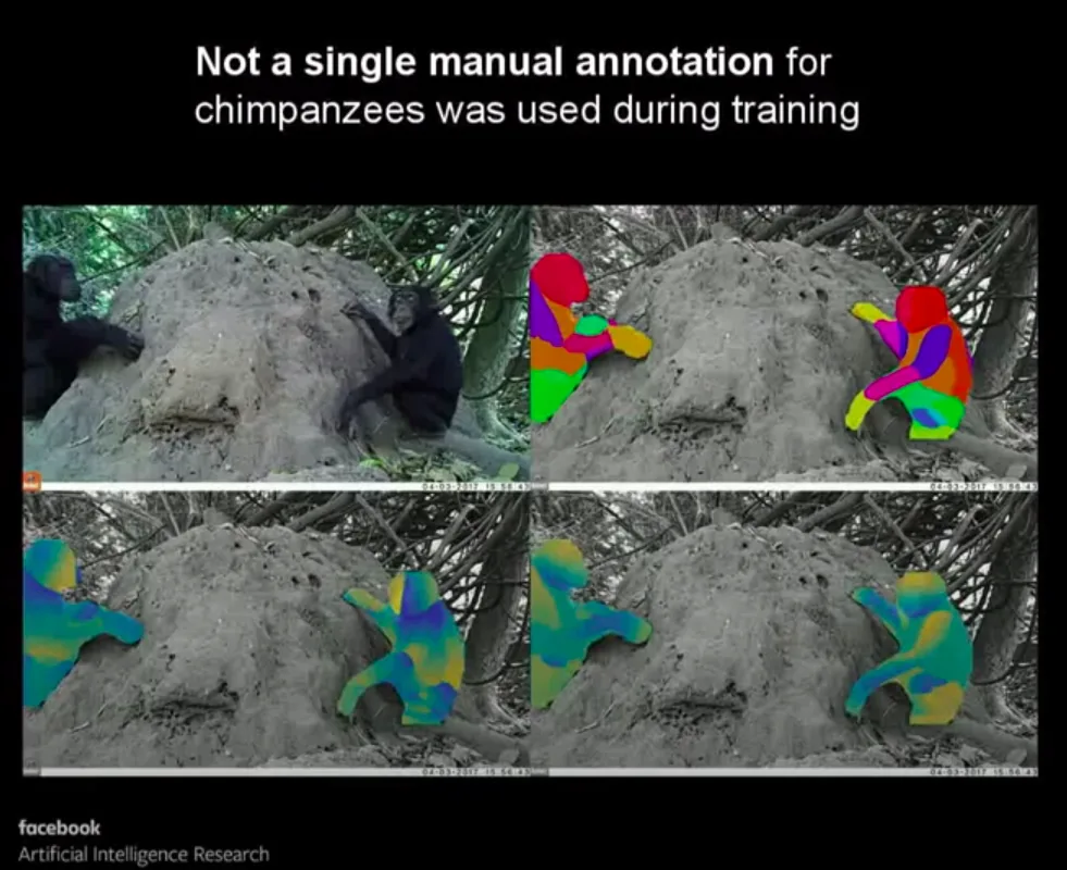 Training High-Quality Models Without DensePose Markup