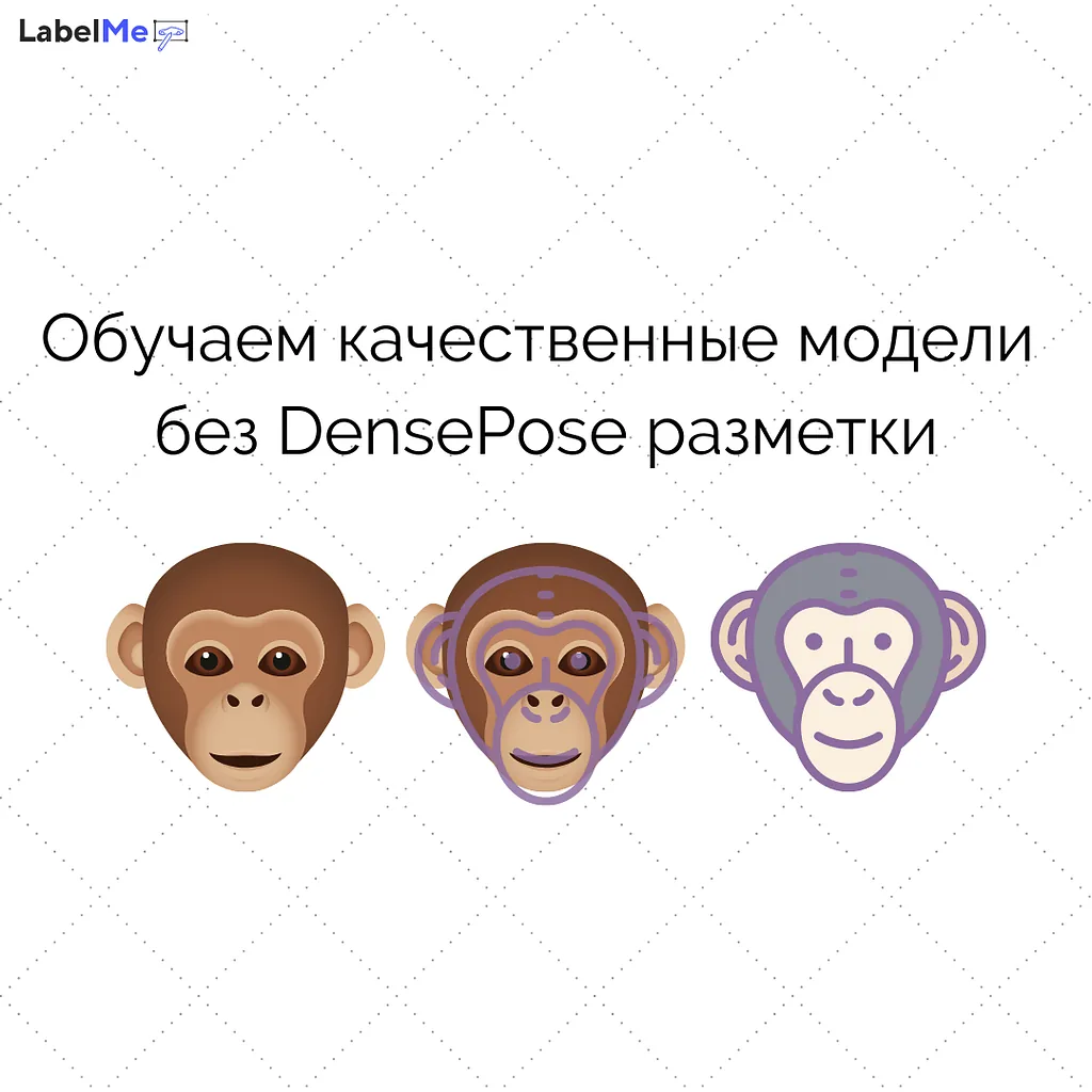 Обучаем качественные модели без DensePose разметки